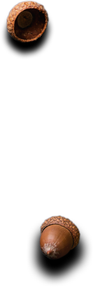 Best Catering in Chennai